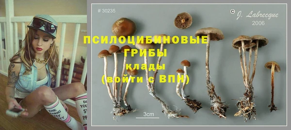 не бодяженный Белокуриха