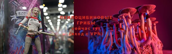 не бодяженный Белокуриха