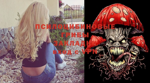 гидропоника Белоозёрский