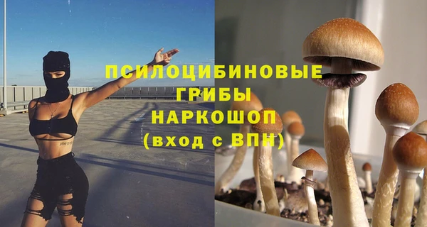 гидропоника Беломорск